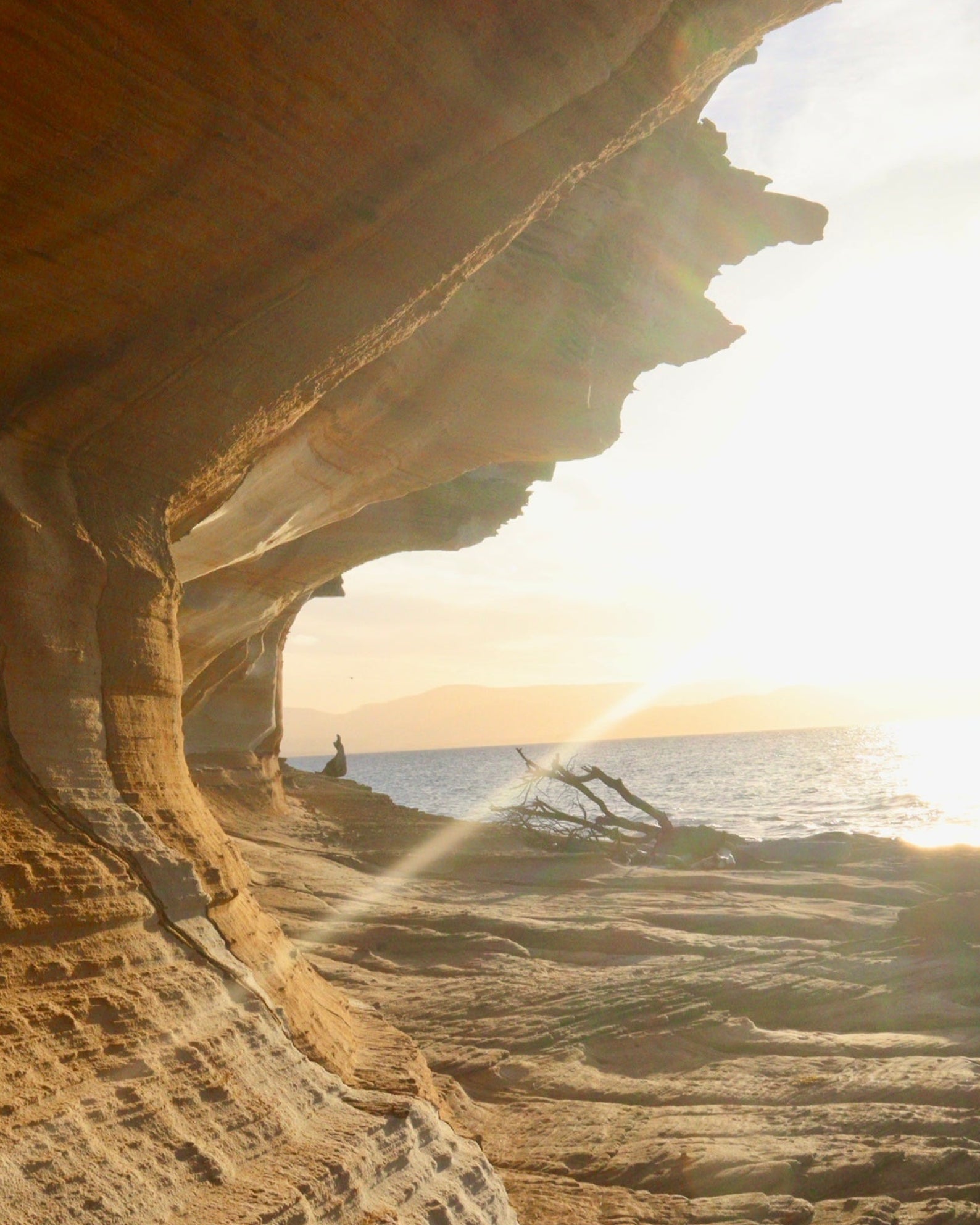 Follow Up Homeopathic Consultation